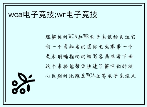 wca电子竞技;wr电子竞技